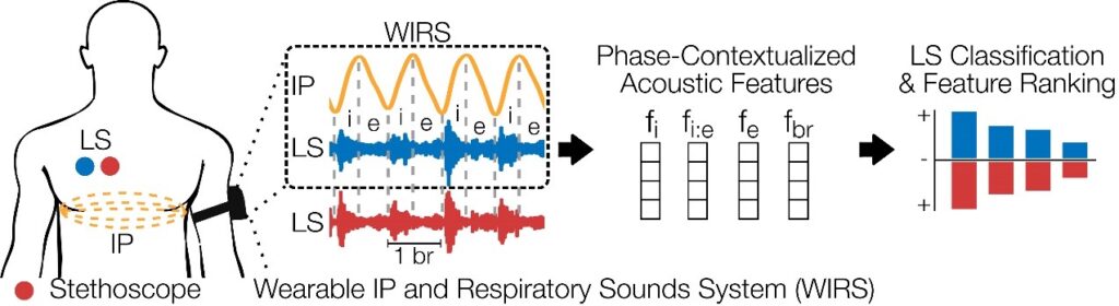 Enabling Continuous Breathing-Phase Contextualization via Wearable-based Impedance Pneumography and Lung Sounds: A Feasibility Study
