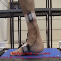 Summary of Human Ankle Mechanical Impedance During Walking