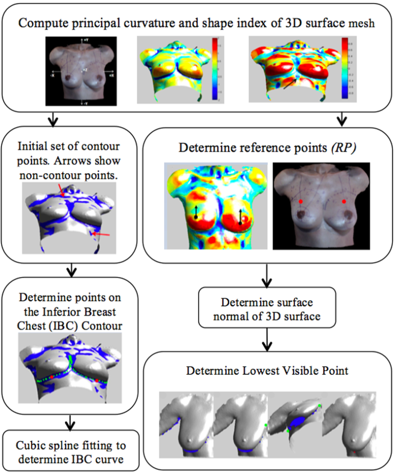 Inferior Breast-Chest Contour Detection in 3D Images of the Female Torso