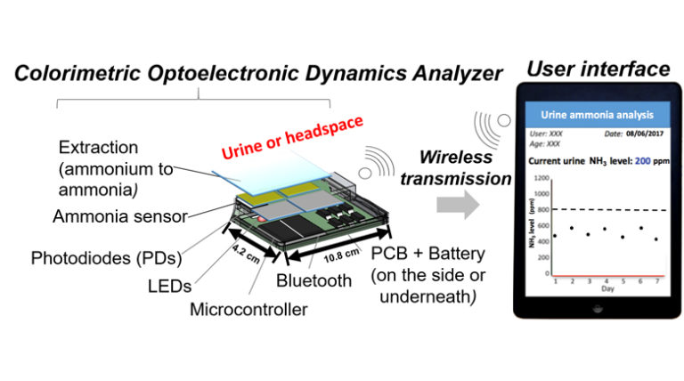 A Handheld, Colorimetric Optoelectronic Dynamics Analyzer (CODA) for Measuring Total Ammonia of Biological Samples