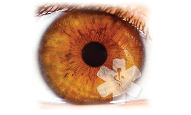 The Eye as a Window to Health