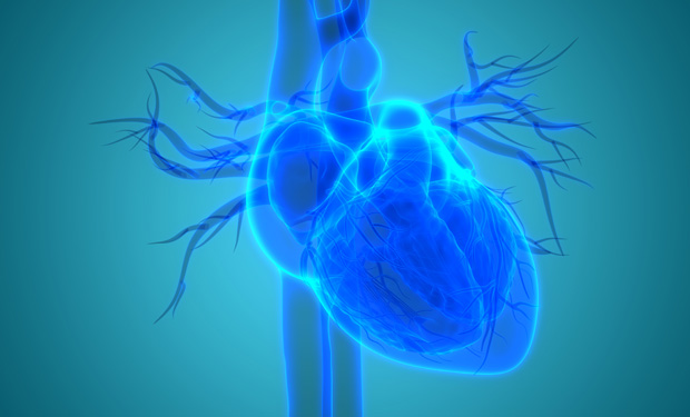 Heart to Heart: Treating Heart Damage