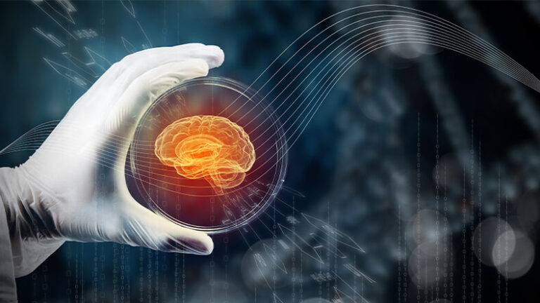 How Brain Organoids Are Revolutionizing Neuroscience