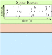 Robust Estimation of Sparse Narrowband Spectra from Neuronal Spiking Data