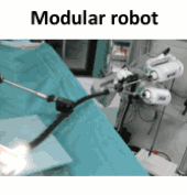 A Novel Telemanipulated Robotic Assistant for Surgical Endoscopy: Preclinical Application to ESD