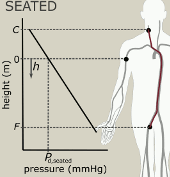 Cuffless estimation of blood pressure: importance of variability in blood pressure dependence of arterial stiffness across individuals and measurement sites