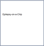 Epilepsy-on-a-chip System for Antiepileptic Drug Discovery