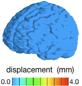 3D Measurements of Acceleration-Induced Brain Deformation via Harmonic Phase Analysis and Finite-Element Models