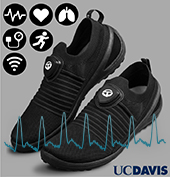 FeetBeat: A Flexible Iontronic Sensing Wearable Detects Pedal Pulses and Muscular Activities