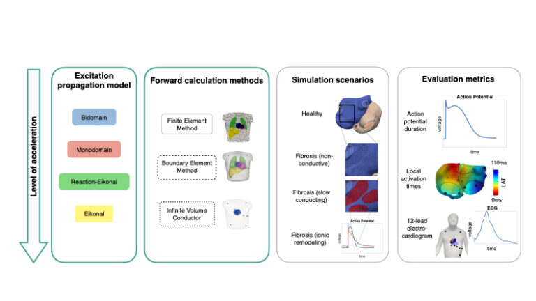 Comparison of Propagation Models and Forward Calculation Methods on Cellular, Tissue and Organ Scale Atrial Electrophysiology