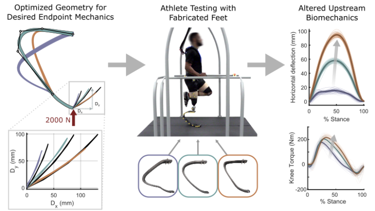 Designing Custom Mechanics in Running-Specific Prosthetic Feet via Shape Optimization
