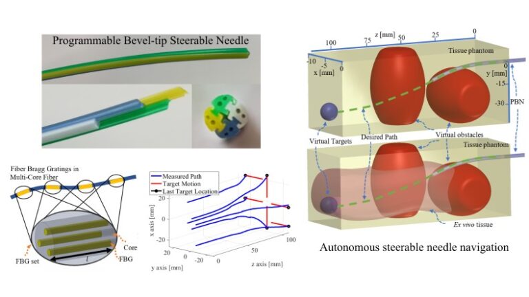 3-D Path-Following Control for Steerable Needles with Fiber Bragg Gratings in Multi-Core Fibers