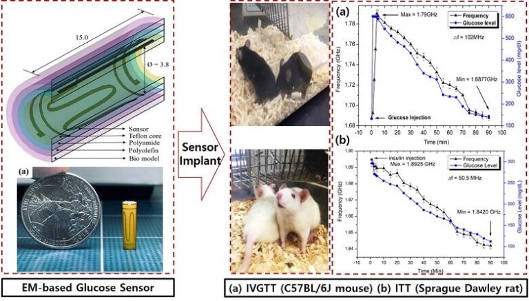 Minimally Invasive Implant Type Electromagnetic Biosensor for Continuous Glucose Monitoring System: In vivo Evaluation