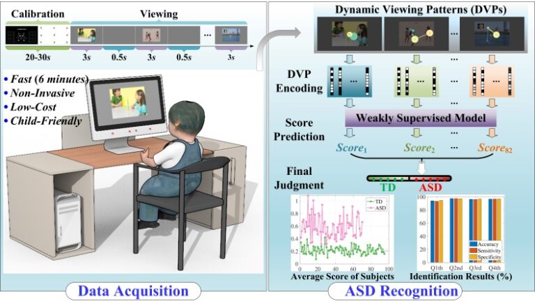 Dynamic Viewing Pattern Analysis: Towards Large-Scale Screening of Children with ASD in Remote Areas