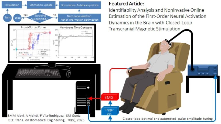 Identifiability Analysis and Noninvasive Online Estimation of the First-Order Neural Activation Dynamics in the Brain with Closed-Loop Transcranial Magnetic Stimulation
