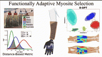 Functionally adaptive myosite selection using high-density sEMG for upper limb myoelectric prostheses