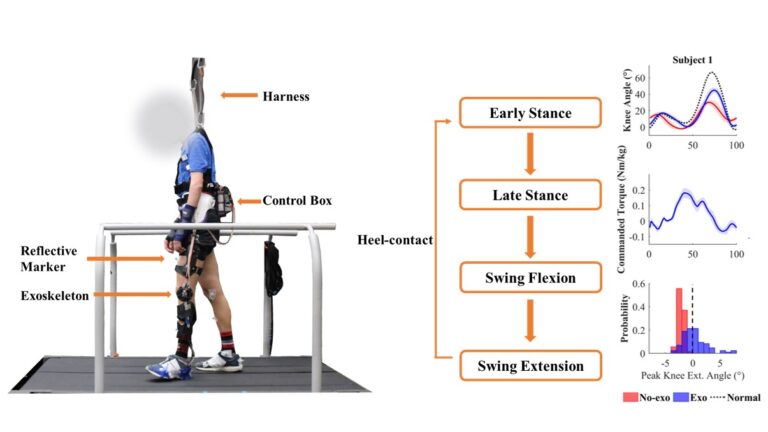 Reducing Knee Hyperextension with an Exoskeleton in Children and Adolescents with Genu Recurvatum: A Feasibility Study