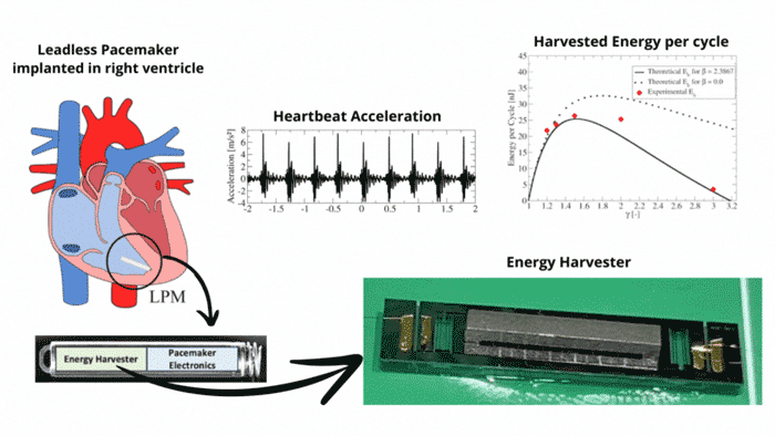 Biomechanical MEMS Electrostatic Energy Harvester for Pacemaker Application: a study of optimal interface circuit