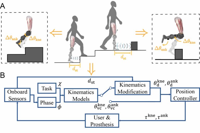 Automatic Stub Avoidance for a Powered Prosthetic Leg over Stairs and Obstacles