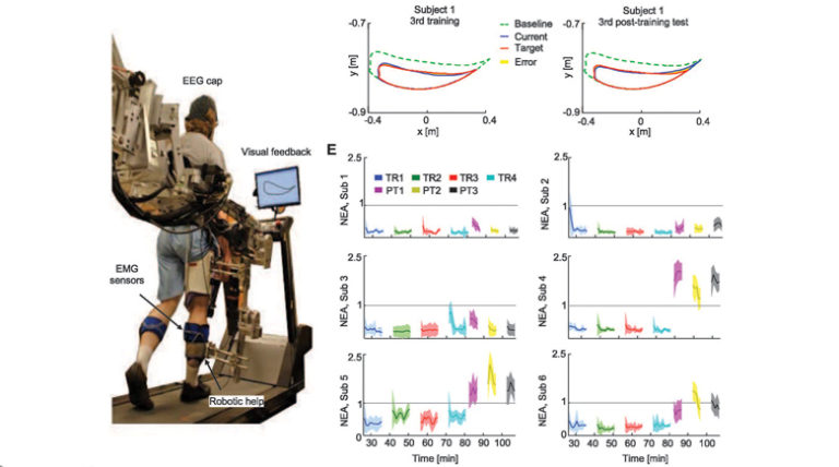 Directed Functional Connectivity in Fronto-Centroparietal Circuit Correlates With Motor Adaptation in Gait Training