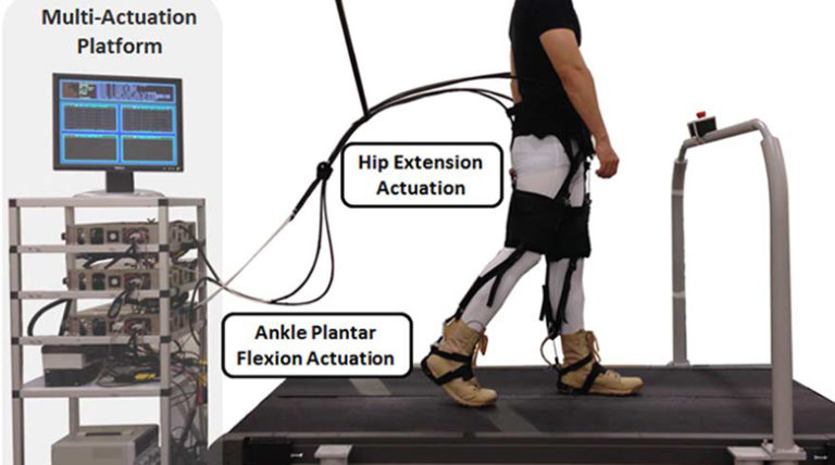 Biomechanical and Physiological Evaluation of Multi-Joint Assistance With Soft Exosuits