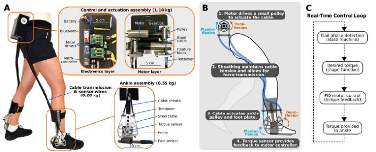 Overview of a novel untethered ankle exoskeleton designed to improve walking economy in children and adults with CP