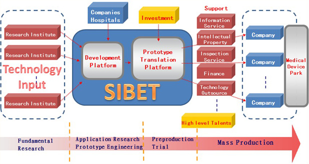 The SIBET Model