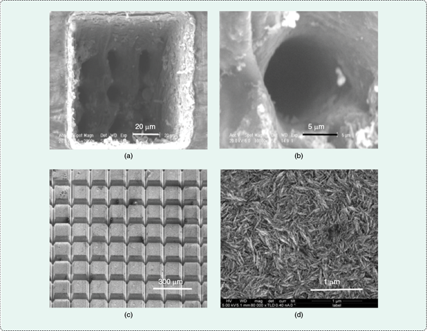 FIGURE 3 The SEM images of an all-diamond, hermetic electrical feedthrough array for a retinal prosthesis: (a) the inside of a feedthrough, (b) a close-up of a single feedthrough hole, (c) the structure of the external face of a feedthrough array after isolation of individual ­electrodes by a laser, and (d) a close-up of the N-UNCD electrode surface shown in (c). (Figure reprinted with permission from [6].)
