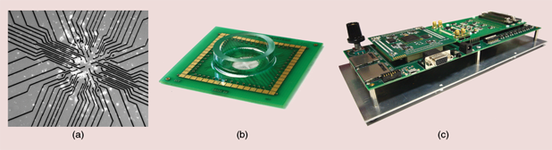 FIGURE 2: The current prototype. (a) The center of an MEA with an array of 60 TiN electrodes (10 µm x 10 µm, 100-µm spacing); wires connect the electrodes to external pads for electronic connection; cultured islets cells are visible on the array. (b) The MEA device shown in (a). The circular reservoir for the culture is stacked at the center of an epoxy-laminated sheet. A ring of 60 pads allows for connections to external circuits. (c) The electronics board for configurable recording and real-time processing of islet signals. It can be used as a stand-alone device without any peripherals. Pre- and postprocessed data are stored on SD cards on board. Configuration is possible using the onboard buttons and switches or using dedicated software on an external PC. Serial and parallel outputs are available for signals display or postprocessing.