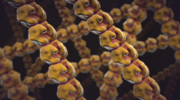 During crystal growth, proteins form lattices that are more well ordered in microgravity. (Image courtesy of CAS IS. Design by XVIVO Scientific Animation.)