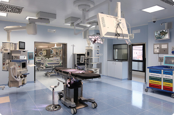 FIGURE S1 The advanced operating rooms at the Rizzoli Orthopaedics Institute that track every step of a surgery. (Photo courtesy of the Rizzoli Orthopaedics Institute.)