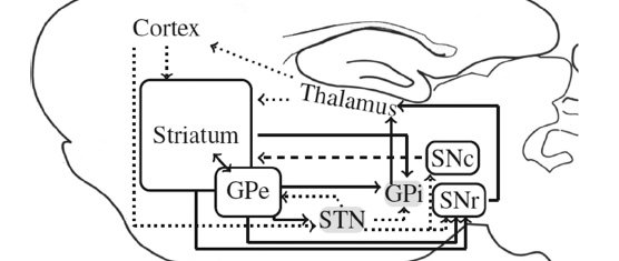 Characterizing Motor and Cognitive Effects Associated With Deep Brain Stimulation in the GPi of Hemi-Parkinsonian Rats