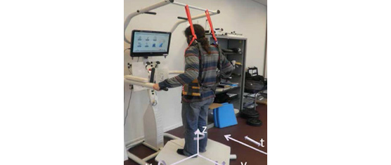 Design of Multiple Axis Robotic Platform for Postural Stability Analysis