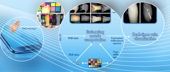 Vein Visualization Using a Smart Phone with Multispectral Wiener Estimation for Point-of-Care Applications 