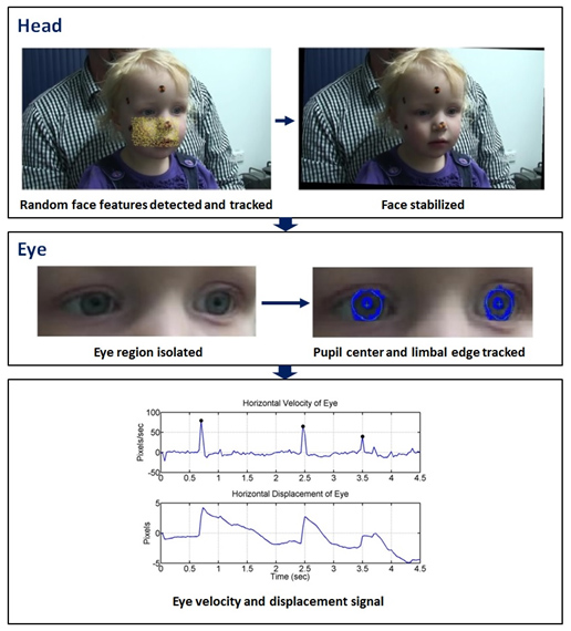 An Optokinetic Nystagmus Detection Method for Use with Young Children