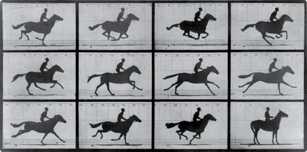 The dawn of time lapse: A galloping horse caught in motion by photographer Eadweard J. Muybridge in the late 1800s.
