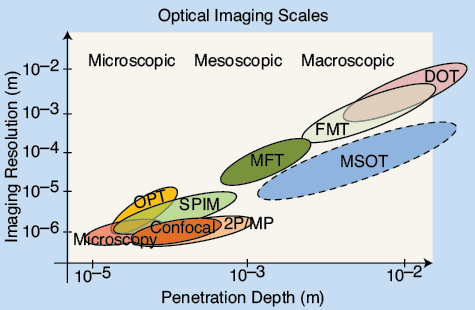 The penetration depth and resolution of modern photonic imaging techniques. For living tissues, the methods at the left of the graph are primarily limited by light scattering, whereas the methods to the right are primarily limited by light attenuation in tissue, a parameter that depends on both absorption and scattering, or by ultrasound attenuation. Note that optical projection tomography (OPT) and selective plane illumination microscopy (SPIM) can operate deeper than the range shown in naturally transparent or chemically cleared samples. (2P/MP: two-photon/ multiphoton microscopy; DOT: diffuse optical tomography; FMT: fluorescence molecular tomography; MFT: mesoscopic fluorescence tomography.)(Figure adapted from [2].)