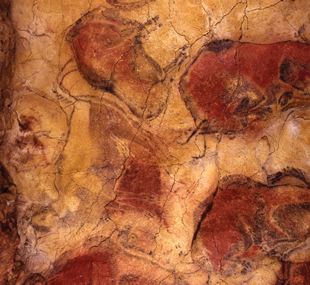 A cave painting found in the Cave of Altamira in Northern Spain. (Photo courtesy of the Museo de Altamira.)