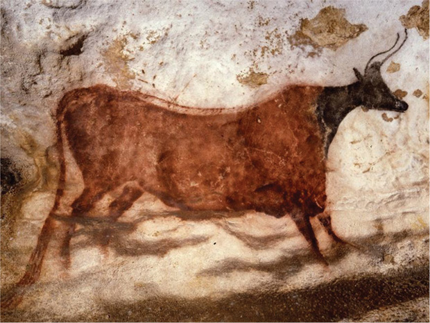 A painting found in the Lascaux Cave in France depicting a mammal (perhaps a kind of cow?). (Photo courtesy of The Axial Gallery.)