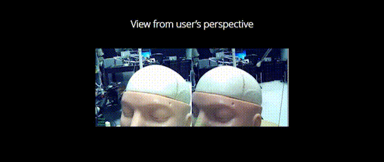 Training for Planning Tumour Resection: Augmented Reality and Human Factors