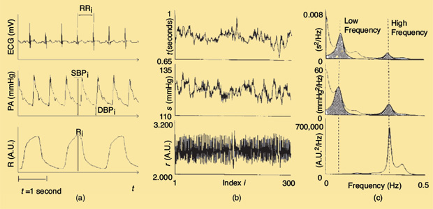 FIGURE 1 - (a) Physiological signals recorded from the cardiovascular system: ECG (top), AP (middle), and respiration (bottom). (b) The beat-to-beat series extracted from the signals: (top) HRV signal from ECG, (middle) systolic values from AP, and (bottom) respiration sampled on a beat-to beat basis. (c) The power spectral densities of the beat-to beat series shown in (b). R: respiration; RR: RR time intervals; SBP: systolic blood pressure; DBP: diastolic blood pressure.
