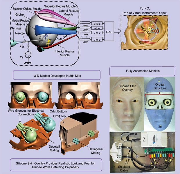 FIGURE 2 - The capacitive sensing scheme developed to detect needle proximity to and touching of ocular structures. The 3-D models of the eye, muscle, and orbital structures with provisions for mechanical and electrical connections are also shown. The computer models were 3-D printed to produce physical structures for the manikin. A silicone facial structure and skin overlay were added to give the manikin a realistic look. (Figure used courtesy of [1].)