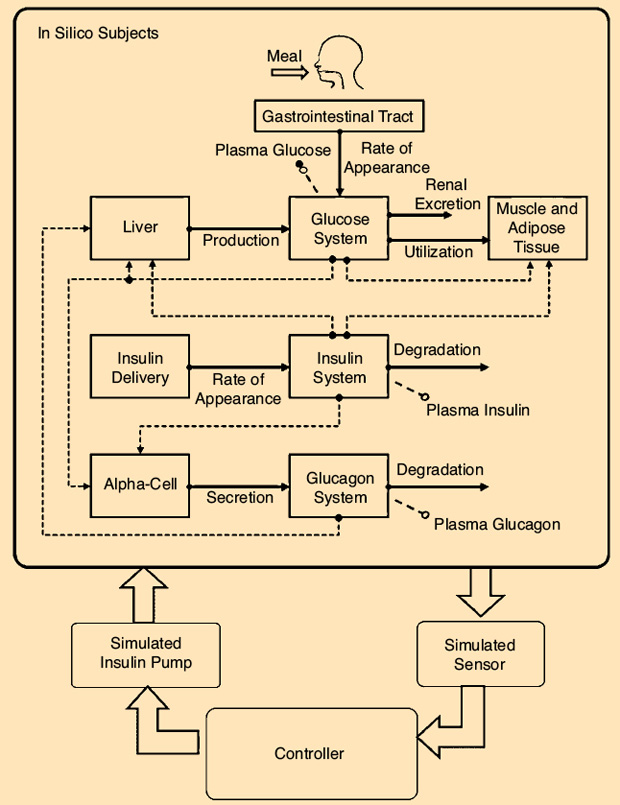 FIGURE 2 - A scheme of the model included in the U.S. Food and Drug Administration accepted type 1 diabetes simulator.