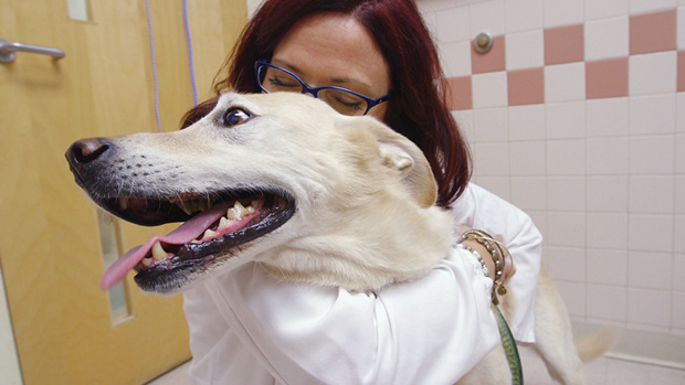 FIGURE 1 Veterinary oncologist Kristine Burgess embraces her dog, who passed away from cancer last year. (Photo courtesy of Steffan Hacker/Tufts University.)