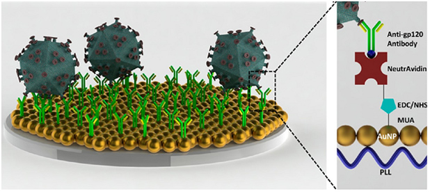 Nanoplasmonic platform for biotarget detection. As a model system, HIV viruses were captured and quantified on the nanoplasmonic surfaces. Spectroscopic measurements quantifies the biotarget captured on nanoplasmonic surface, which is functionalized with specific antibodies and binders. (Reproduced from Inci et al. 2013)