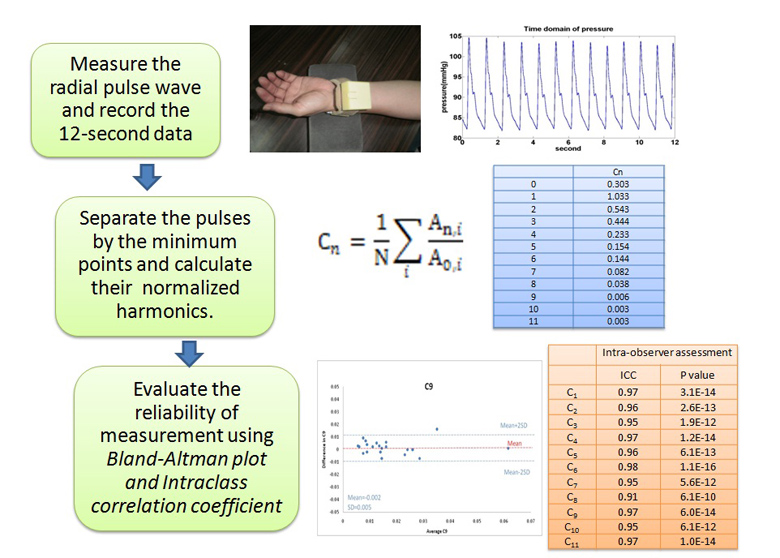 Development of a Standard Protocol for the Harmonic Analysis of Radial Pulse Wave and Assessing its Reliability in Healthy Humans