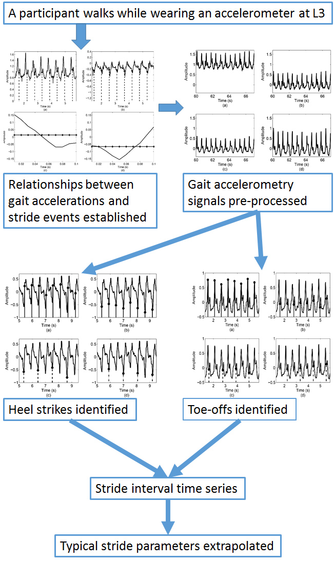 Extraction of stride events from gait accelerometry during treadmill walking