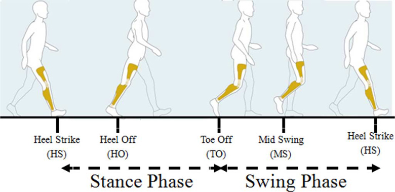 Assessment of Foot Trajectory for Human Gait Phase Detection Using Wireless Ultrasonic Sensor Network