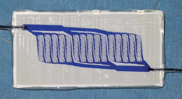 Figure 1: A photograph of a membrane bilayer device mimicking an engineered microvascular network.