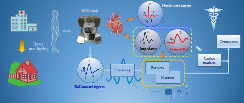 Elucidating the Hemodynamic Origin of Ballistocardiographic Forces: Towards Improved Monitoring of Cardiovascular Health at Home
